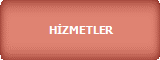 HİZMETLER